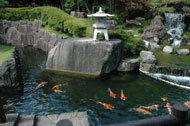 Koi museum, Ojiya