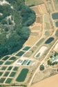 Koi farm in Bonnievale, South Africa